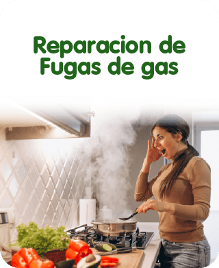 Reparación de fugas de gas