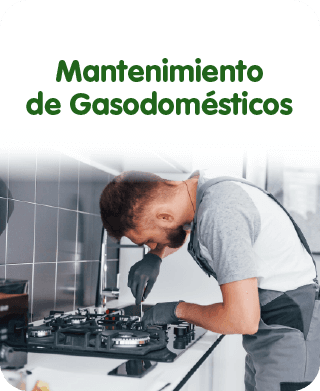 Mantenimiento de gasodomésticos